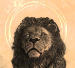 lion messiah face.small.jpg